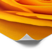 Poster van gele rozenbloem (Hoek)