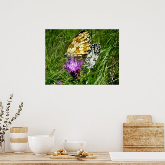 Poster van gemarmerde witte vlinders (Keuken)