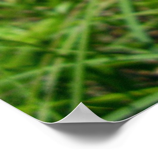 Poster van gemarmerde witte vlinders (Hoek)