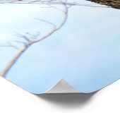 Poster van gepileerde Woodpecker (3625) (Hoek)