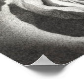 Poster van geStipteerd Roos (Hoek)