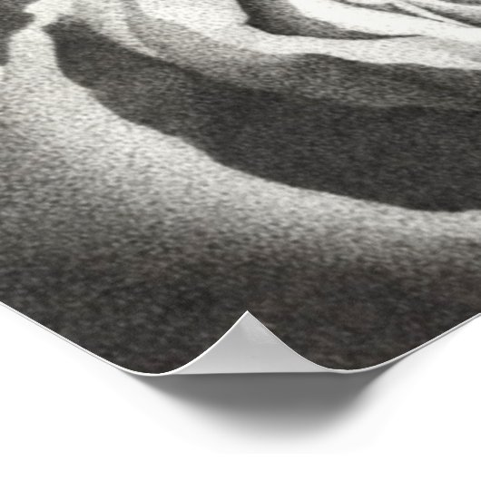 Poster van geStipteerd Roos (Hoek)