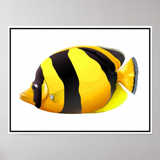 Poster van gestripte vis (Voorkant)