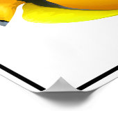 Poster van gestripte vis (Hoek)