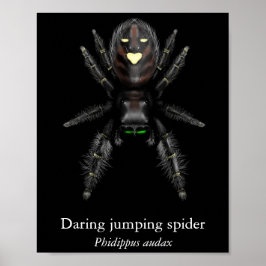 Poster van gewaagde springspin (halfglans)