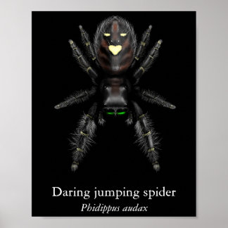 Poster van gewaagde springspin (halfglans)