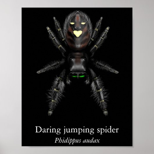 Poster van gewaagde springspin (halfglans) (Voorkant)