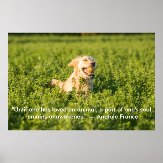 Poster van Golden Retriever met Citaat (Voorkant)