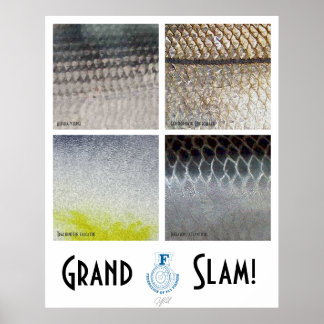 Poster van Grand Slam Saltwater