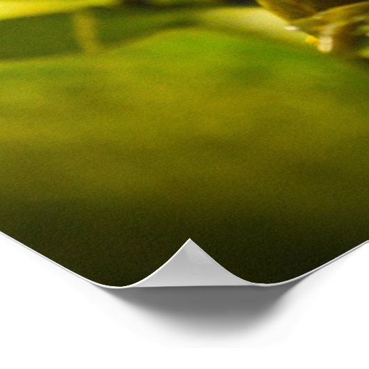 Poster van groene en gouden kikkervisjes (Hoek)