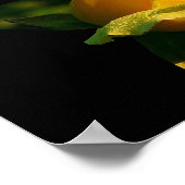 Poster van grote gele rozenrog (Hoek)