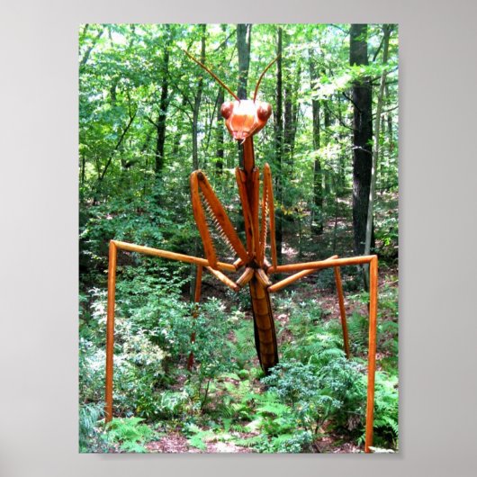 Poster van grote Praying Mantis (Voorkant)