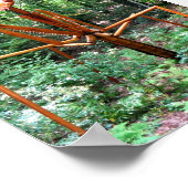 Poster van grote Praying Mantis (Hoek)