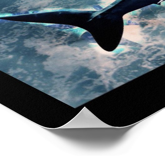 Poster van haaien (Hoek)