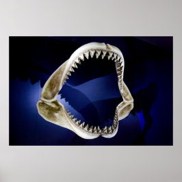 poster van haaienkappen en tanden VANAF 14.95