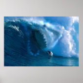 Poster van haaienzijde (Voorkant)