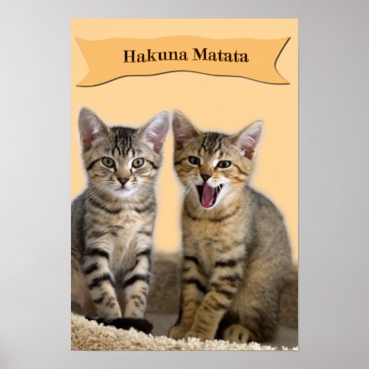 Poster van Hakuna Matata kitten (Voorkant)