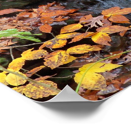 Poster van herfst-bladeren en watervalfoto's (Hoek)