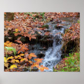 Poster van herfst-bladeren en watervalfoto's (Voorkant)