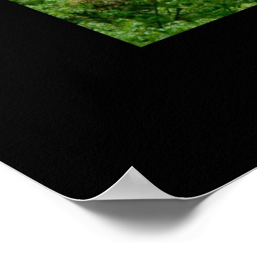 Poster van Herfst (Yosemite) (Hoek)