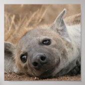 Poster van het Afbeelding Hyena (Voorkant)
