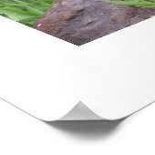 Poster van het Afbeelding van tuinbouwbuizen (Hoek)