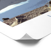 Poster van het Dierenmeer (Hoek)