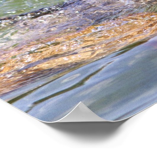  Poster van het Dog Teamwork (Hoek)