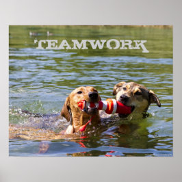 Poster van het Dog Teamwork