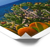 Poster van het eiland Salt Water Cure (Hoek)