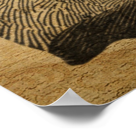 Poster van het Franse Briefkaart Cat en Fiddle (Hoek)