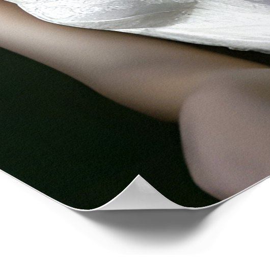 Poster van het Lingerie Model (Hoek)