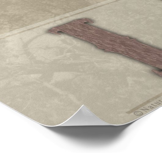 Poster van het Longhorn-land -60x40 - andere groot (Hoek)