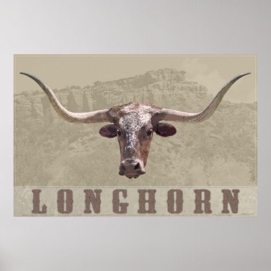 Poster van het Longhorn-land -60x40 - andere groot (Voorkant)