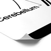 Poster van het medisch anatomiediagram voor humaan (Hoek)