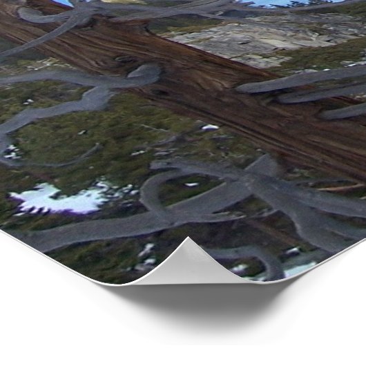 Poster van het meer Tahoe (Hoek)