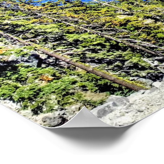 Poster van het Nationaal Park van het meer van Cra (Hoek)