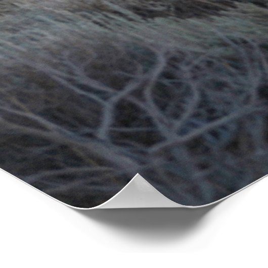 poster van het nationaal park zion (Hoek)