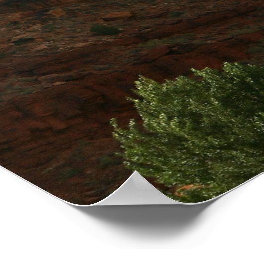 poster van het nationaal park zion (Hoek)