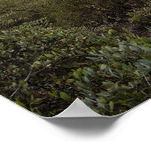 Poster van het onderdrukkingsgebergte (Hoek)