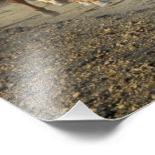 poster van het paardenspoor (Hoek)