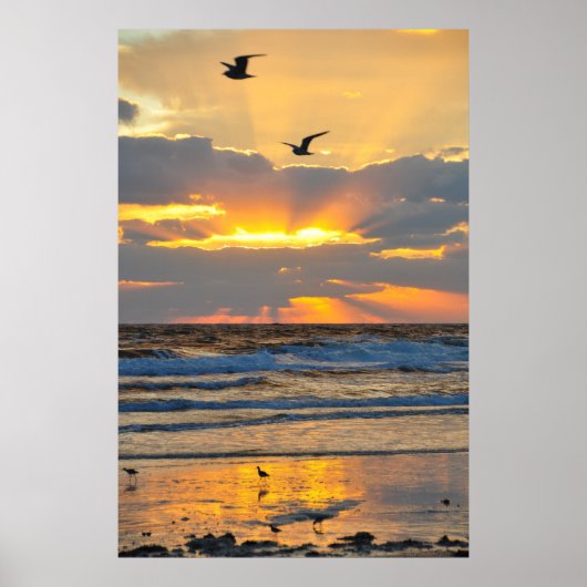 Poster van het prachtige Morning Beach Sunrise Sce (Voorkant)