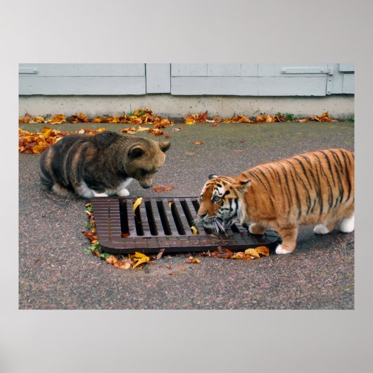 Poster van het stedelijk watergat (Voorkant)