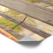 Poster van het strand (Hoek)