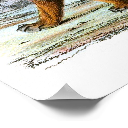  Poster van het  van de illustratie van het dier P (Hoek)