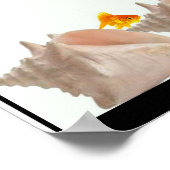 Poster van het visserijbeschermingsprogramma (Hoek)