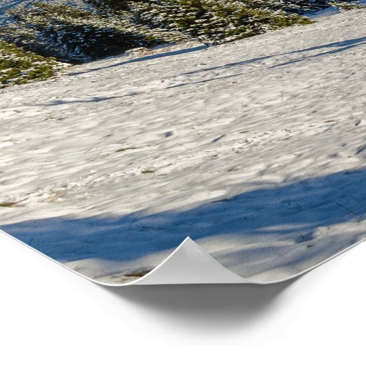 Poster van het winterlandschap Alpe di Siusi (Hoek)