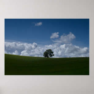 Poster van het zomerlandschap (oude Linslade 8354)