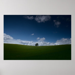Poster van het zomerlandschap (oude Linslade 8355)