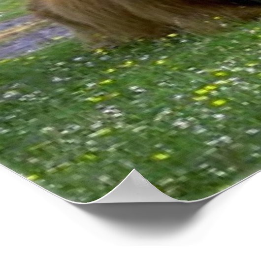 Poster van hoerdieren (Hoek)